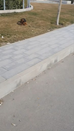 106 reactions · 10 comments | Lipjan municipality, Prishtina Mall...