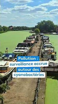 Pollution: Increased surveillance of cyanobacteria