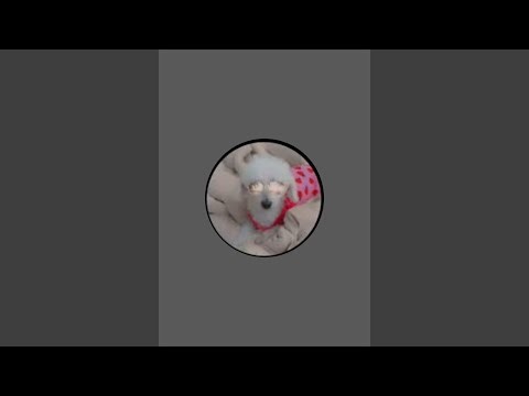 Laura Winchester está ao vivo!09/04/26 🇧🇷