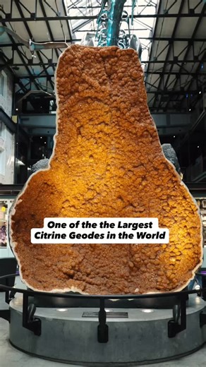 One of the largest Citrine geodes in the world lives right here in our lobby! Formed inside 100 million-year-old basalt, this stunning natural wonder took years to recover, cut, and polish. Now you can find it just inside the Generator Hall doors at Plant Riverside District ✨ #plantriversidedistrict #citrine #crystals #geodes #savannahgeorgia #jwmarriott #visitsavannah #jwmarriottsavannah | Plant Riverside District