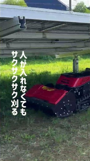 スイスイ🌞太陽光パネル下草刈り #草刈り