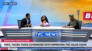 State Governors Must Collaborate With Local Governments To Revamp Farm Settlements - Wale Oyekoya | Tvcnewsng