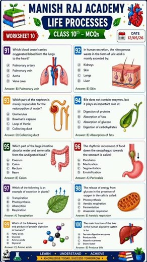 Class 10 Life Processes MCQs 🔥 | Worksheet 10 Most Important Questions