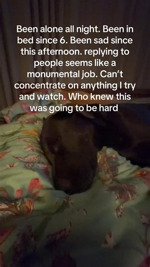 Coping with Loneliness: Finding Connection in Isolation