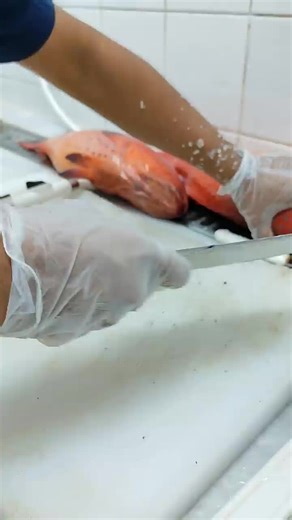 Mastering the Art of Fish Cutting and Cooking