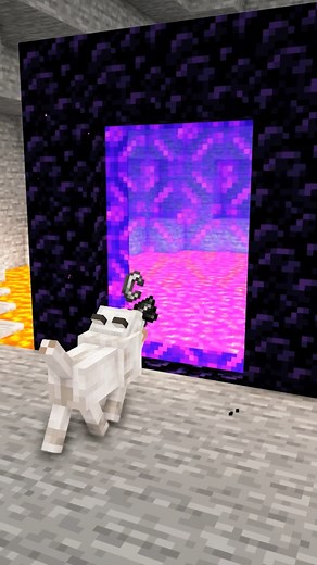 773K views · 27K reactions | My Dog SPEEDRUNS MINECRAFT?!? #minecraftonly #minecraftbuilds #minecraftpe #minecraftideas #minecrafts #minecrafttutorial #minecraftpc #minecraftdesigns #minecraftxbox #minecraftonly #minecraftmemes #minecraftuniverse #minecrafthouse #explore | Ethobot | Facebook