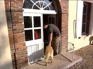 REPORTAGE - CHIEN DANGEREUX COMMENT S'EN PROTEGER ?