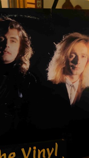 15K views · 283 reactions | Bin E. Carlos explained « The vice...