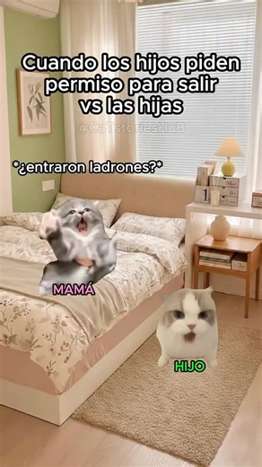 HappCatTube🐾 | Cuando los hijos piden permiso para salir vs. las hijas #gatitoslindos #amigos #funnyreels #storytime #foryou | Instagram