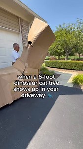 everyone needs a 6-foot dinosaur cat tree right?? #cats #cattree #bougiecat #lettoden @lettoden | Konakaikaleo