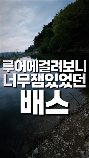 날아 보니 너무 잼있었던 배스 #피쉬맥스 #잇세이 #마리수 #잔더 #배스낚시 #루어낚시 #배스 #루어 #bassfishing #lurefishing #バス釣り #バスフィッシング