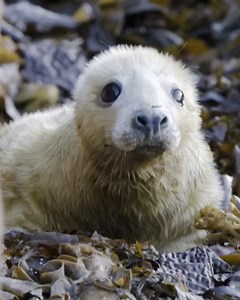 24K views · 2.2K reactions | Not long now everyone! 3 days until we...