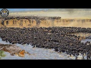 The Great Migration: The Race for Life on the Savannah #naturedocumentary | Wildlife documentary