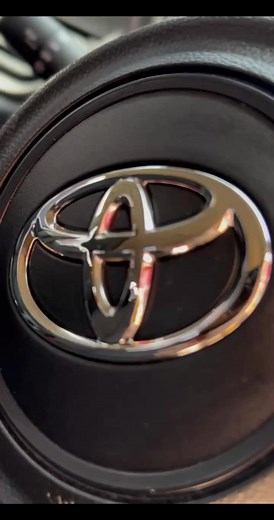 Mapogo A Mathamaga on TikTok