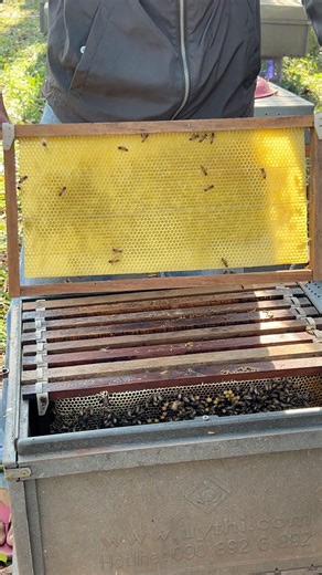 Oh! Checking beekeeper and add new beehive #honey #bee #workerbee #beekeeper #naturelovers #insects