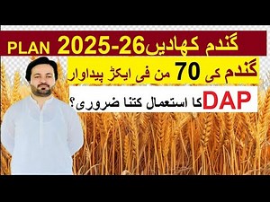 High-Yield Wheat Farming: Secrets to Success"How to get high yield of wheat crop