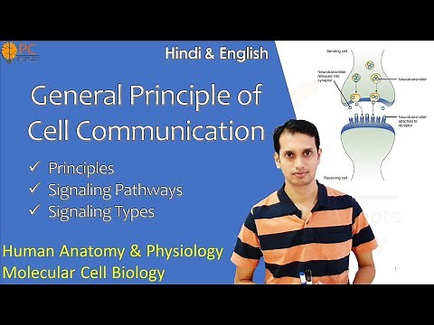 Cell communications: Cell Signaling Process, Intracellular Signal Transduction Pathways