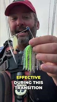 Spinnerbait Bass Fishing Secrets for Fall Feeding Frenzies #shorts