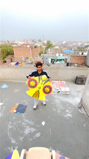 Kite looting 🪁👍 #trandingshorts #youtubeshorts #kite #kites #kiteflying #patang #shorts