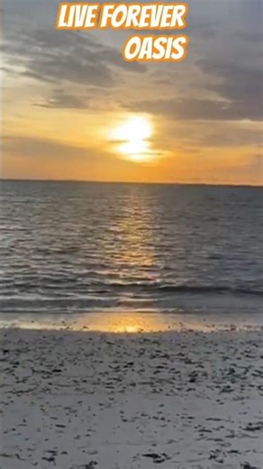 Oasis - Live Forever