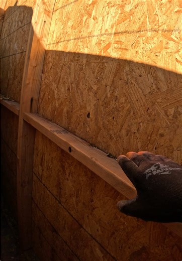 DIY Wall Building Techniques with OSB