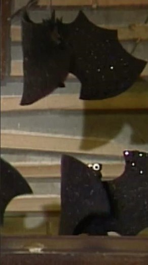 Batty Bat Song with The Count 🦇🦇 #sesamestreet