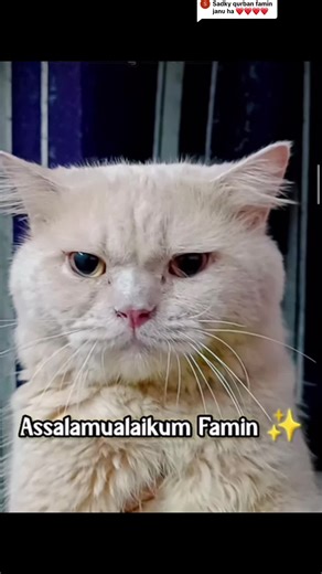 Hehehe.hayesx on TikTok