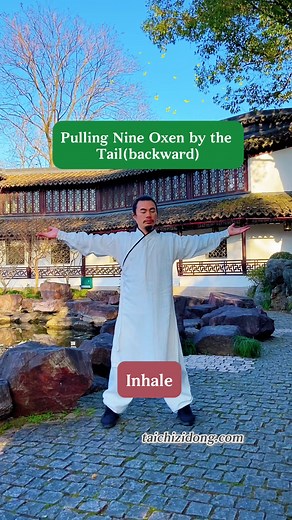Taichi Zidong on Instagram: "https://taichizidong.com Free Videos Inspire. Full Courses Transform. 251279-Yi Jin Jing Pulling Nine Oxen by the Tail(backward) 1. Relieve shoulder and back pain. 2. Improve thyroid and breast health. 3. Improve digestive function. 9 times each side one set, 3-4 sets a day. This is Yi Jin Jing, a famous Chinese Qigong practice with a history spanning thousands of years. It trains the body's tendons, meridians, blood, bones, Qi, and spirit from the outside in. While