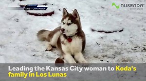 23K views · 182 reactions | KODA COME HOME: A Los Lunas family...