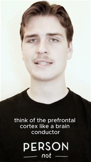 Upper School Online Course: The Prefrontal Cortex