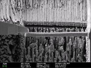 1.1K views · 31 reactions | Based on the nanostructure of the sea...