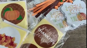 Autumn Pumpkin So Thankful for You Gift Tags by Adore By Nat - Thanksgiving Thank You Favor Tags - Set of 24