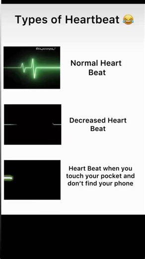 Exploring the Human Circulatory System for Students