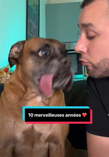 Hermès et 10 merveilleuses années 🐶 Demain nous allons voir le vétérinaire en fin de journée. Je ferai une dernière vidéo avec lui avant son départ. Merci encore pour vos messages ❤️