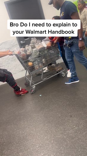 A Day in Walmart: Shopping Cart Adventures