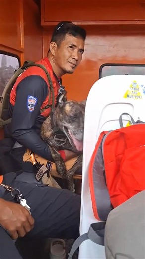 660K views · 45K reactions | ito po c miyuki at ang kanyang magaling na Handler c miyuki po ay isang k9 unit ng CDRMO ng Opol Misamis Oriental isa kang tunay na Hero Miyuki Salamat sayo natulongan mo ang psg hanap sa mag Asawa @highlight #cttocredittotherightfulowner #MiYUKi #k9unit | No Left Turn | Facebook