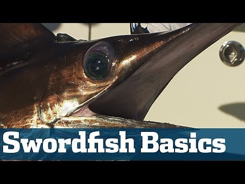 Catch Swordfish - Florida Sport Fishing TV - Step By Step Setting A Bait