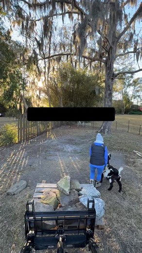 This will be like no other goat house you’ve ever seen. I can promise you that. Planned it out in my head. What can go wrong? At least @shetoolsanddesigns believes in me. At least 60% on this one. #goats #pets #construction #backyard #homesteadlife | TOOLS by Design