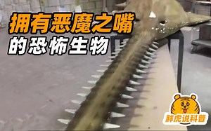 3种拥有恶魔之嘴的恐怖生物：锋利的牙齿从口腔一直长到胃里