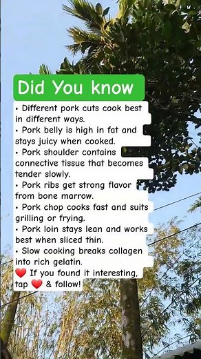 Different Pork Cuts Explained