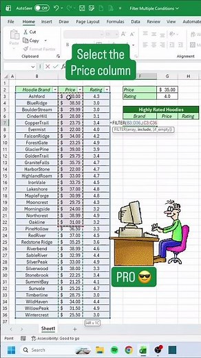 Filter Multiple Conditions in Excel‼️ #excel