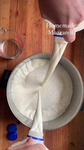 Simple Homemade Mozzarella Cheese Recipe