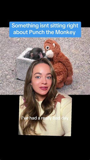 Punch the monkey isn’t who he seems and I stand with plushie #monkey #greenscreen