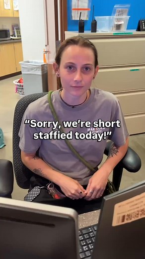 40K views · 1.5K reactions | Pearl is an excellent employee, but it's time for her to retire to a forever home! Adoptable at 1920 S Lewis, Mesa. #A5151401 | Maricopa County Animal Care & Control | Facebook