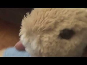 The Amazing Ulitmate spider man (movie Spiderman played by Peter rabbit)