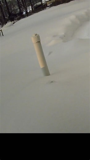 This is How Fast a Foot of Snow Falls #snow #winterstormwarning #polarvortex