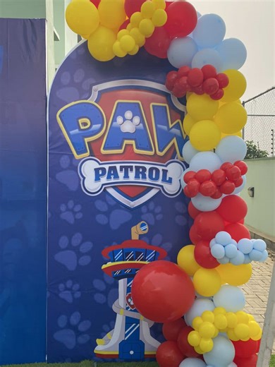 Paw Patrol Themed Birthday Party Ideas