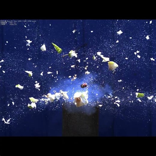 Exploding Pear251022 high-speed camera video