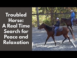 Troubled Horse: A Real Time Search for Peace and Relaxation (Episode 284) - Herm Gailey