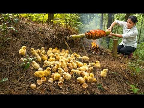 Harvesting Chicks on the Mountain They Discover a Dead Python...I Made a Whole Roasted Python